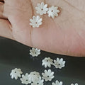 10 gm Off White Cremay Color Pearl Flower Petal Beads