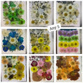 Pack of 5 Pressed flowers, DIY Crafts